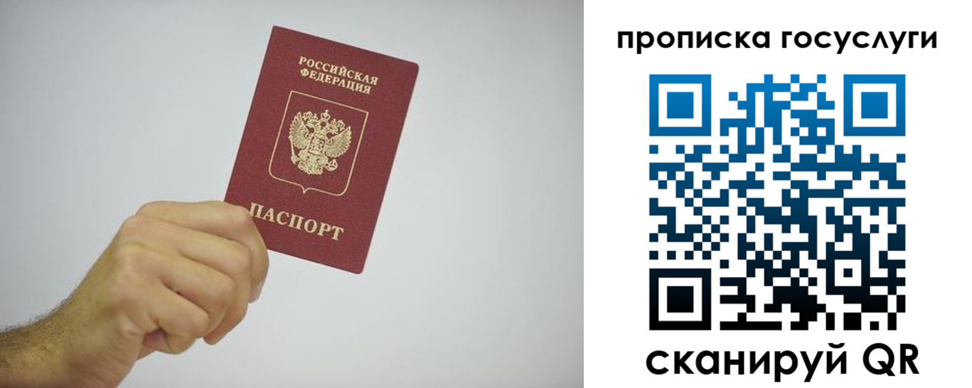 прописка законно в Звенигово